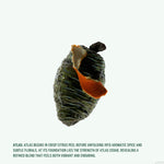 Deodorant Stick Atlas