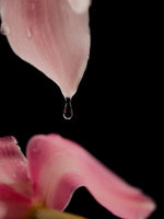Flower Eater Perfume Oil