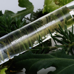 Metamorph Perfume Oil