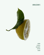 Aromatic Hand Wash Amalgam 5