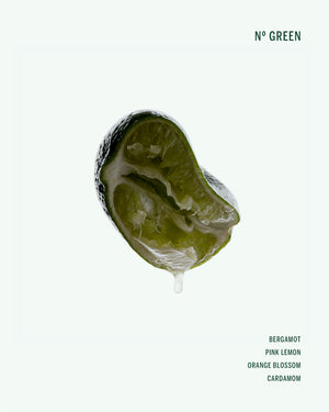 Deodorant Stick Nº Green
