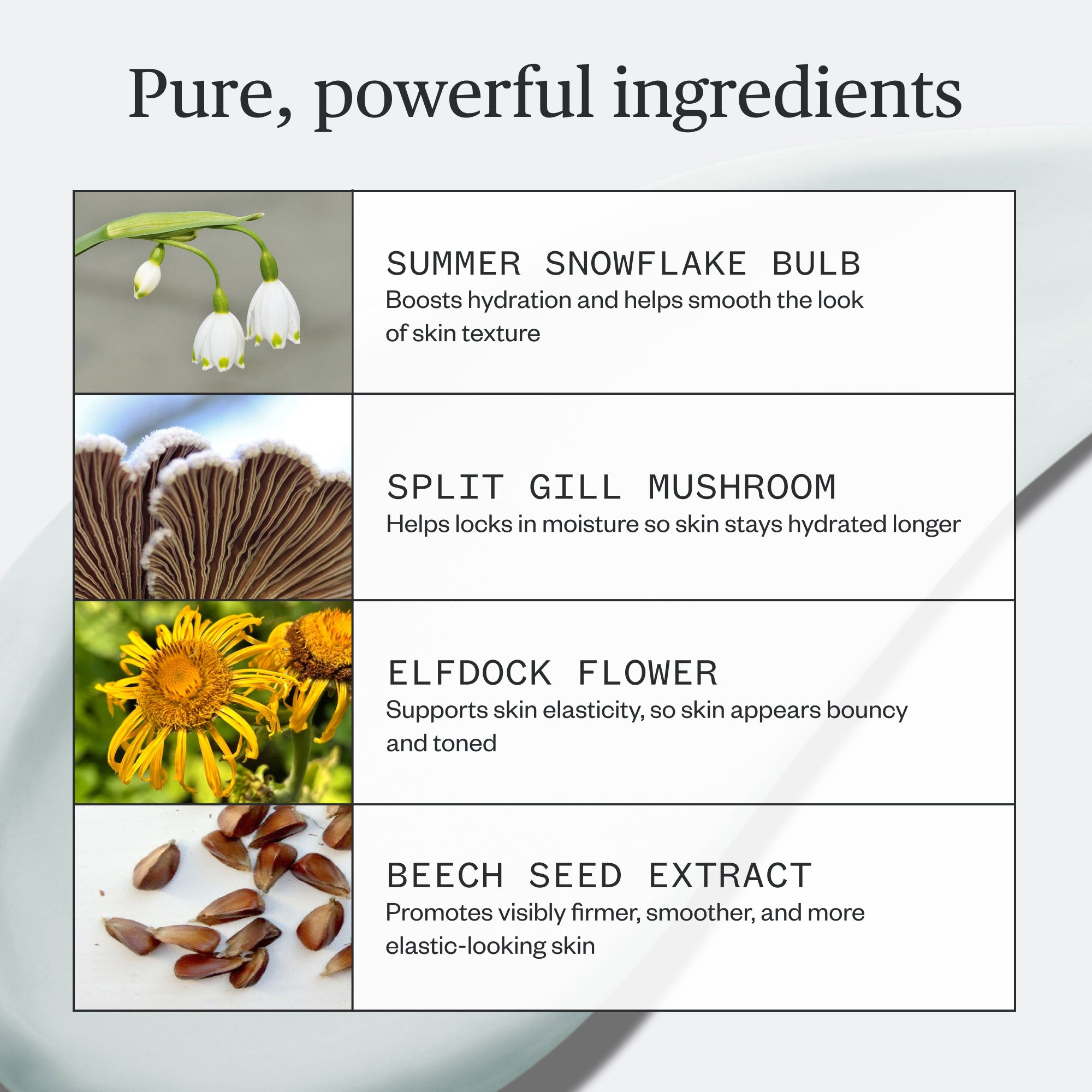 Vital Spring Hydration Mask