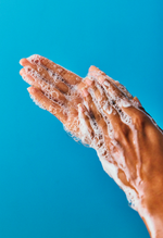 Wild Garden Hand Wash